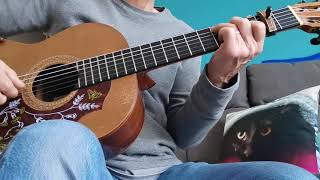 Mark knopfler :  Miss you blues fingerpicking 