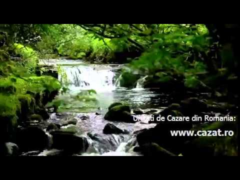 Cazare Tatarasti, Hunedoara - Cazat.ro