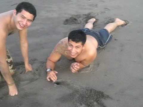 E onde está o cangrejo?