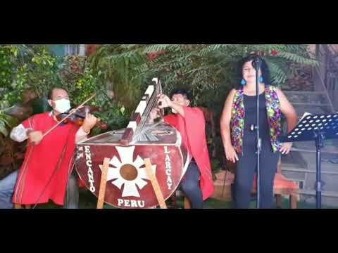 🎶 Mix EXITOS DE ORO, DE SILA ILLANES PURO SENTIMIENTO - ARPA Y VIOLÍN🎻
