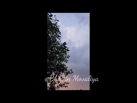 It's About Nature..🌱 @Bhavin Movaliya