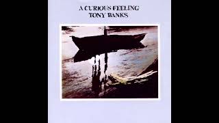 Tony Banks - Lucky Me [5.1 Surround Sound]