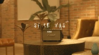 SI TE VAS Lyrics  Translation