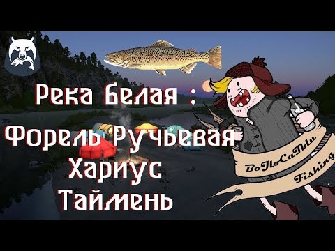 Русская Рыбалка 4 - Белая - Форель - Таймени