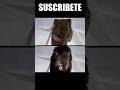 THIS IS JURASSIC PARK WITH SCIENTIFICALLY CORRECT DINOSAURS Jurassicworld Jurassicpark
