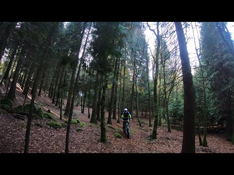 Ktm 450 Exc Six Days