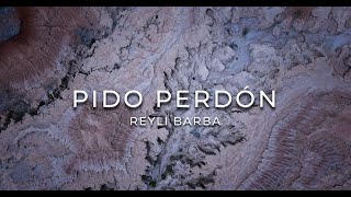 Pido Perdón Lyrics English Translation