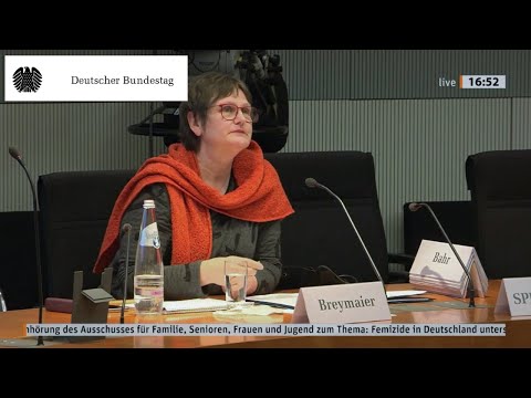 Lob und Kritik der Experten für Linken-Antrag zu Femiziden