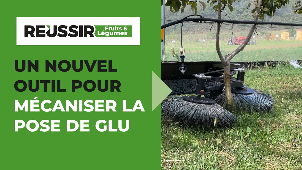 Easycol mécanise la pose de glu dans les vergers