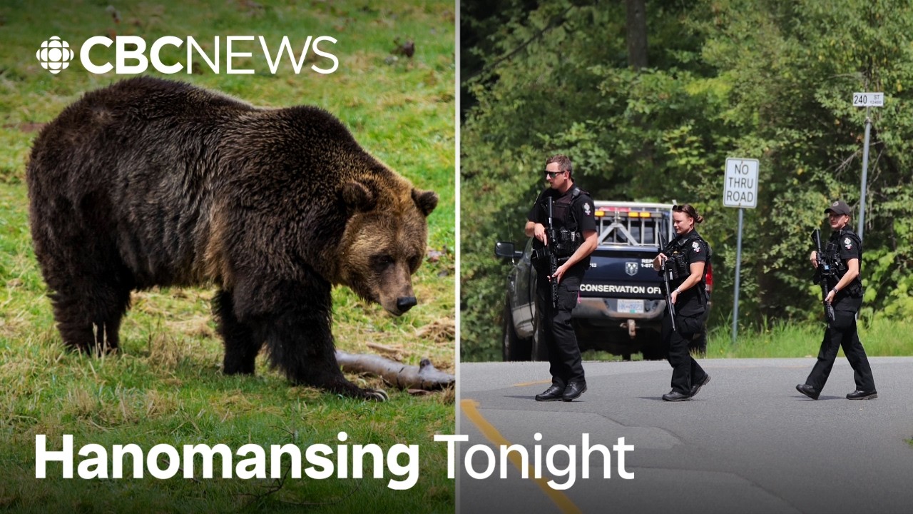 Video: RCMP kills wrong black bear after Maple Ridge child attack