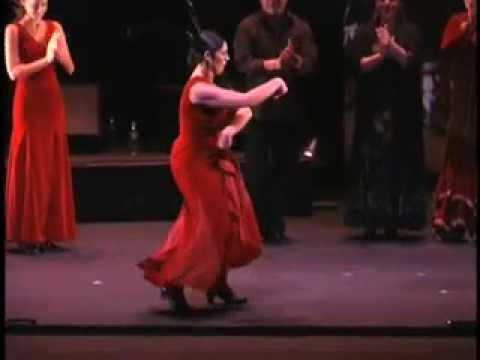 New World Flamenco 2007 update