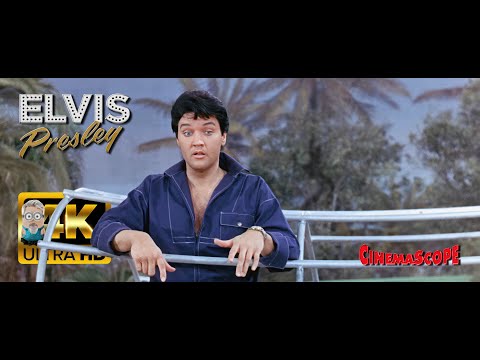 Elvis Presley - Confidence ⭐UHD⭐ (1967) AI 4K Enhanced