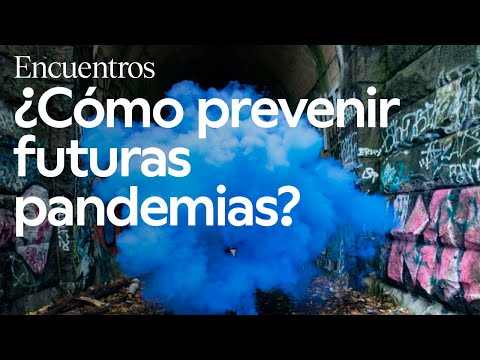 Ver el vídeo
