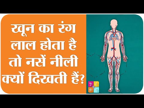 Blood का असली रंग Red होता है या Blue, यहां जान लो | Tan ki Baat | Sehat ep 103