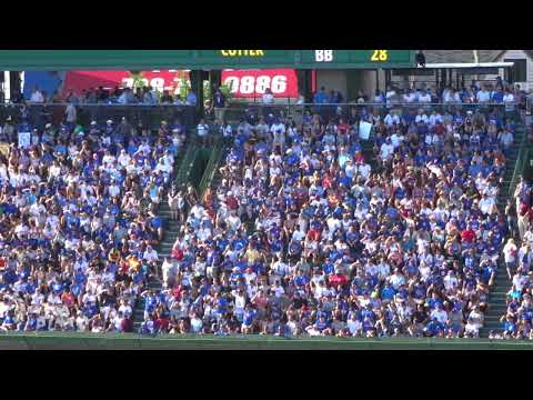 Upgrade Your Videos Instantly: Discover How to Add Audience Chroma Backgrounds!