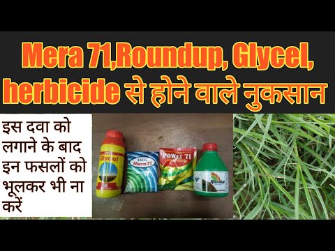 Excel Mera 71 Herbicide - Non Selective Glyphosate for Non Crop Areas (100 gm)