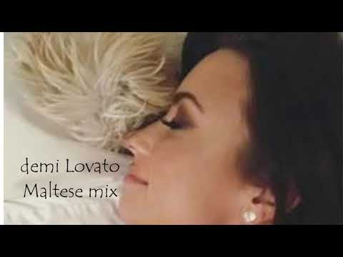 Celebrities and their dogs