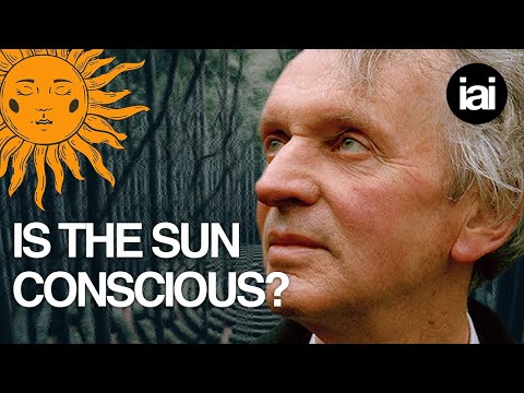 Why we might live in a conscious universe | Rupert Sheldrake