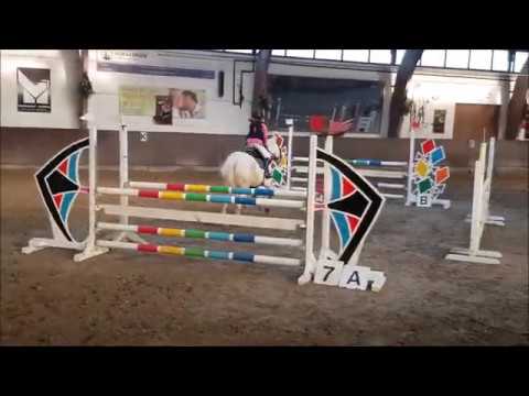 Malu (10) und Dancer - A** in Koblenz-Metternich am 01.01.2020