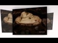 Ganoderma Megaloma Fungi Kingdom