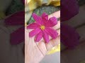 Fall In Love With COSMOS Flowers Is The Most Beautiful Thing In The World