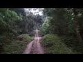 Dooars Trakeing Jungle Safari 3