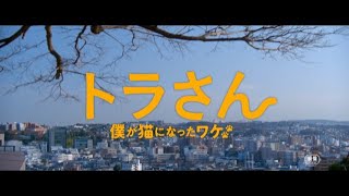 『トラさん~僕が猫になったワケ~』2chでの評価 mqdefault - 『トラさん~僕が猫になったワケ~』2chでの評価