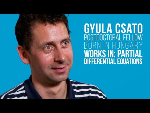 Gyula Csato and Partial Differential Equations
