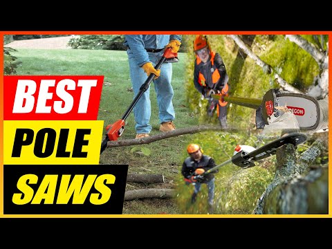 5 Best Pole Saws 2025: Reviews and Top Picks