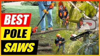 5 Best Pole Saws 2025: Reviews and Top Picks