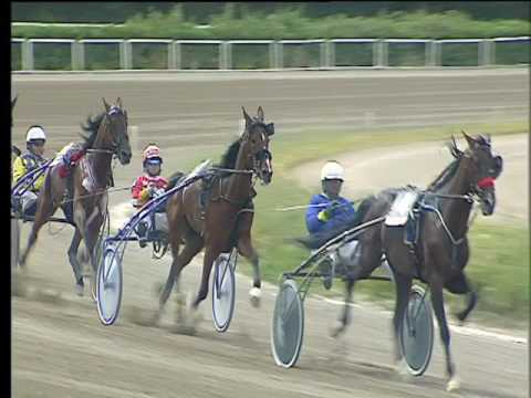 Trotto 21/05/2017 - 2ª corsa