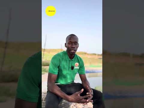 Sur le terrain, exploitation de fraises