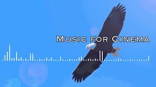 Cello Concerto | Birds of Paradise | BB