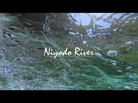 ❝奇跡の清流❞ 仁淀川の四季(short version)