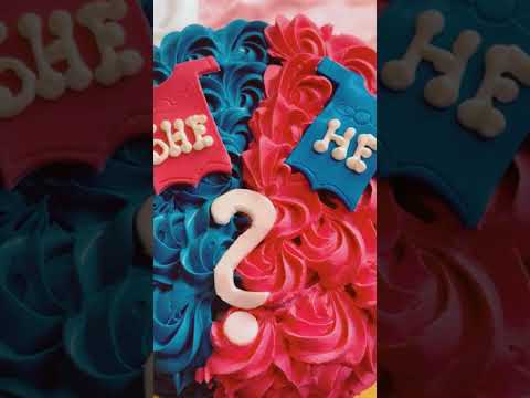 Gender Reveal Party 2023: Boy or Girl? #ytshorts #trending #viral #riyadh #yt #shorts