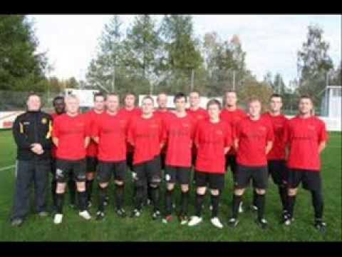 Pyyli - Safarin Kingit