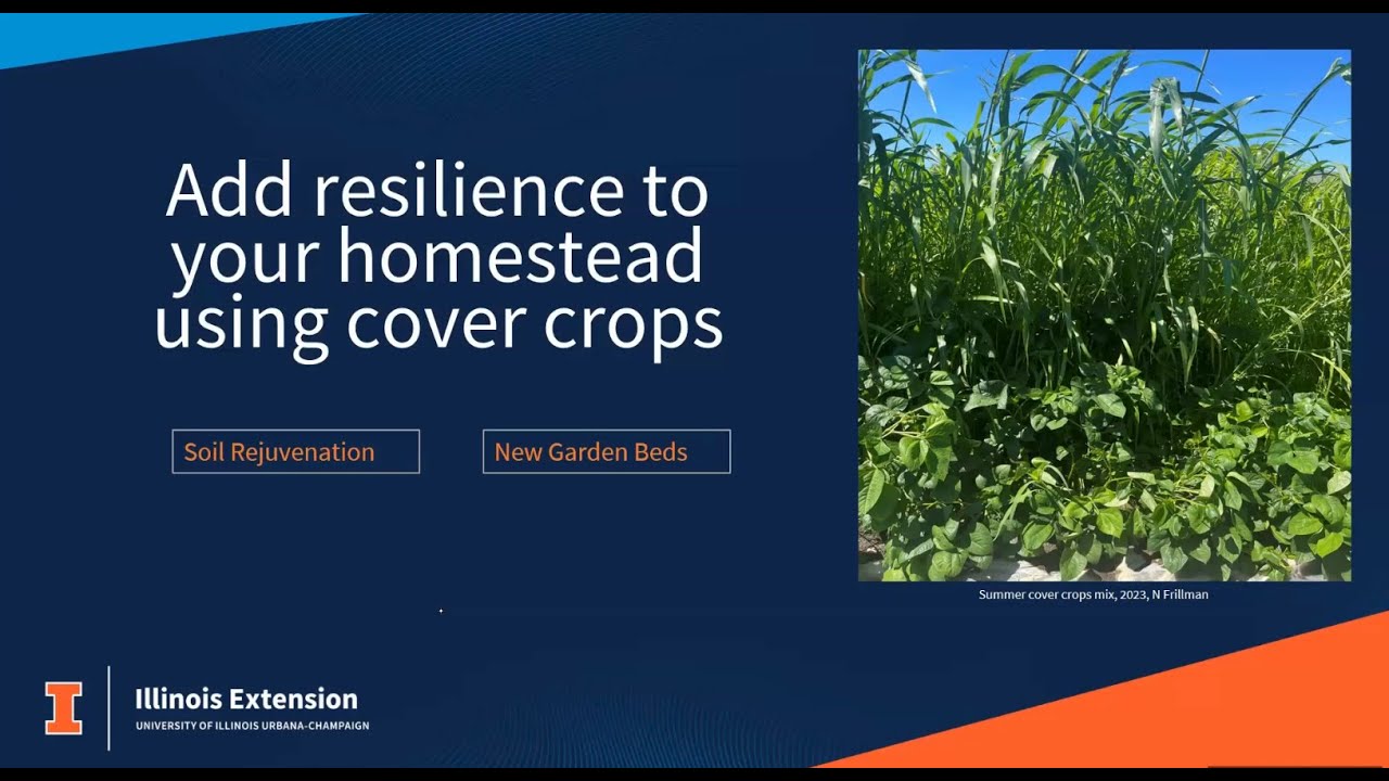 Adding Resilience to Your Homestead using Cover Crops