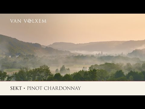 Weingut Van Volxem - der Sekt Pinot-Chardonnay
