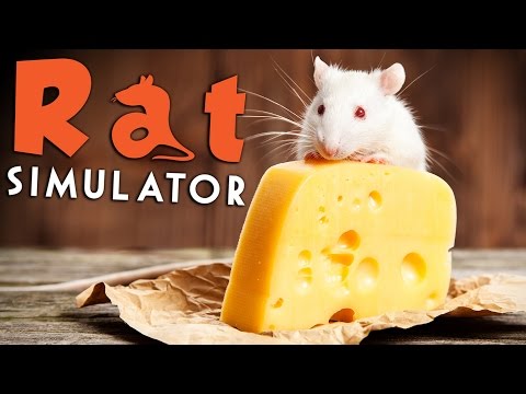 Gameplay de Rat Simulator