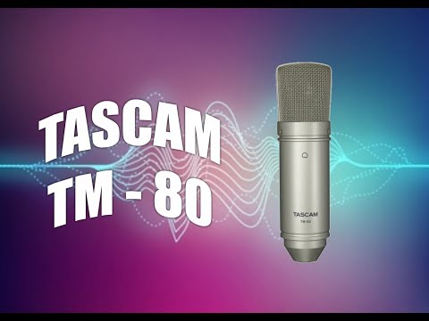 Обзор микрофона Tascam TM-80