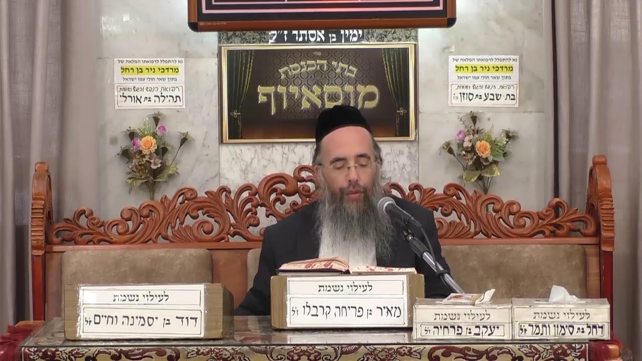 בית הכנסת מוסאיוף שידור חי  •  יום שלישי יג' חשוון תשפ'ו