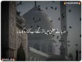 MAN Joom Joom Song Vedio Poitry
