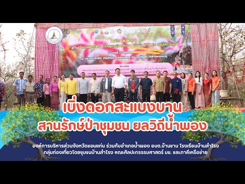 อบจ.ขอนแก่น พร้อมด้วยภาคีเครือข่าย จัดงาน "เบิ่งดอกสะแบงบาน สานรักษ์ป่าชุมชน ยลวิถีน้ำพอง"
