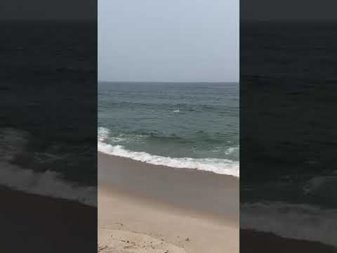 The Ocean For The Nervous System