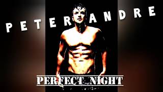 Peter Andre - Perfect Night