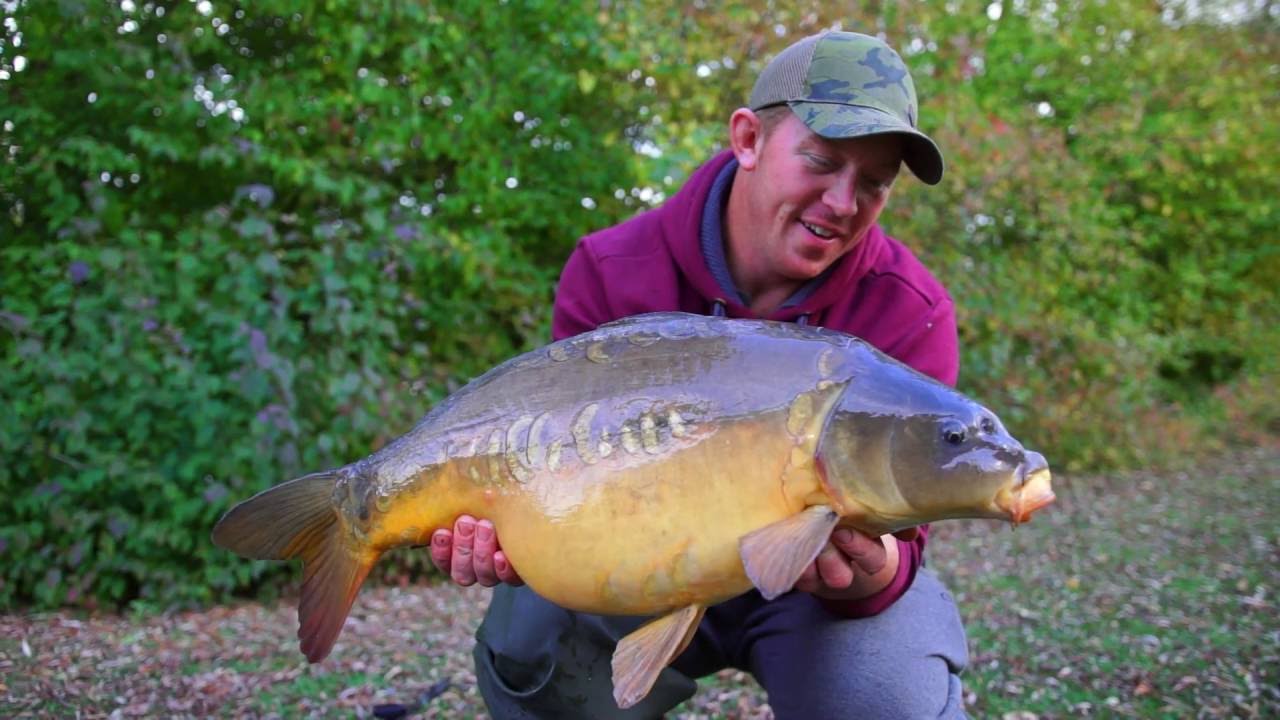 ***CARP FISHING TV*** Edges Volume 4 - Mark Bartlett at Linear Fisheries