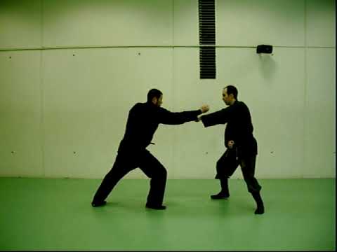 HOSETSU NO KATA - BUJINKAN