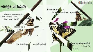 SEE HOW THEY GROW BUTTERFLY