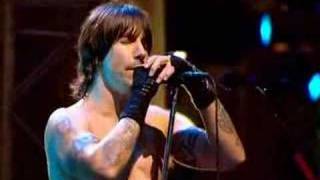 Red hot chilli peppers live Under the bridge