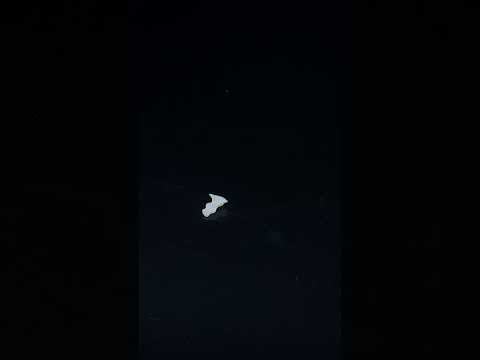 YouTube 썸네일